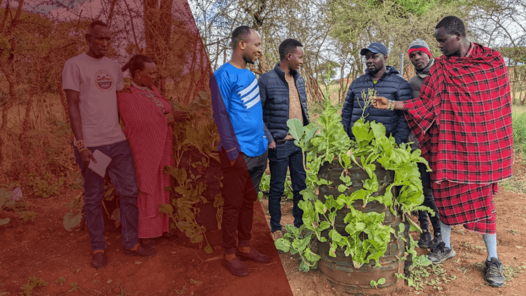 Maasai people standing in front of agricultural garden towers
